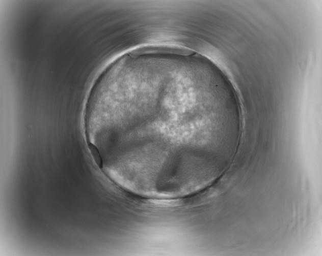 X0000088751344200706212108