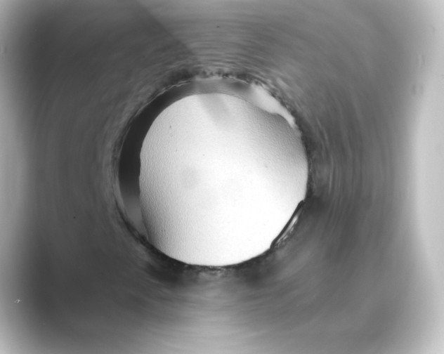 X0000088751345200706212107