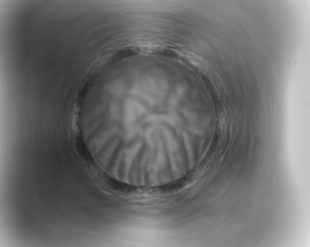 X0000088751346200706212107