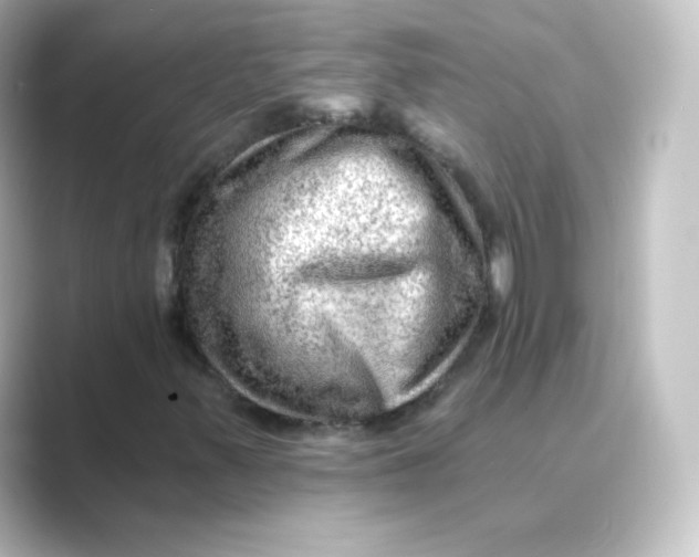 X0000088751347200706212107