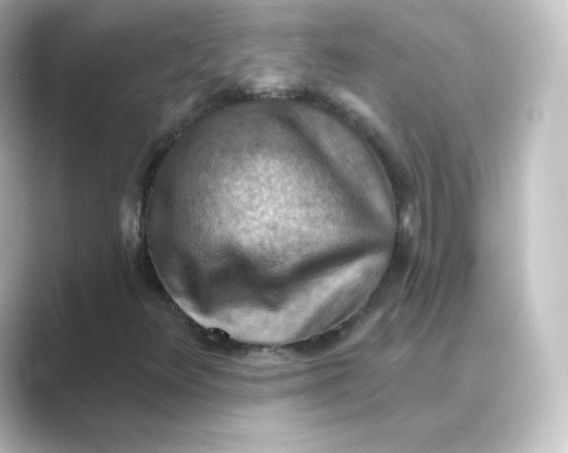 X0000088751348200706212107