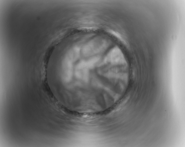 X0000088751350200706212107