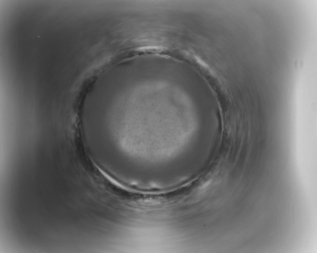 X0000088751351200706212107