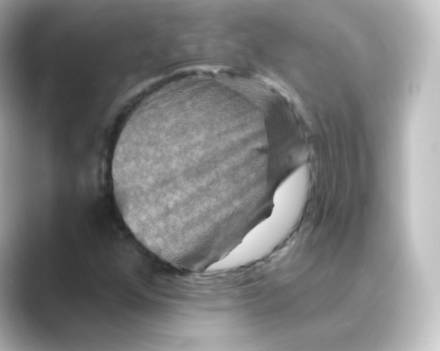 X0000088751352200706212107