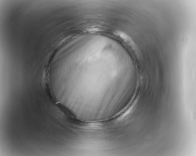 X0000088751353200706212107