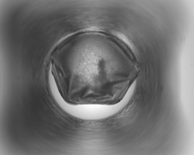 X0000088751356200706212107