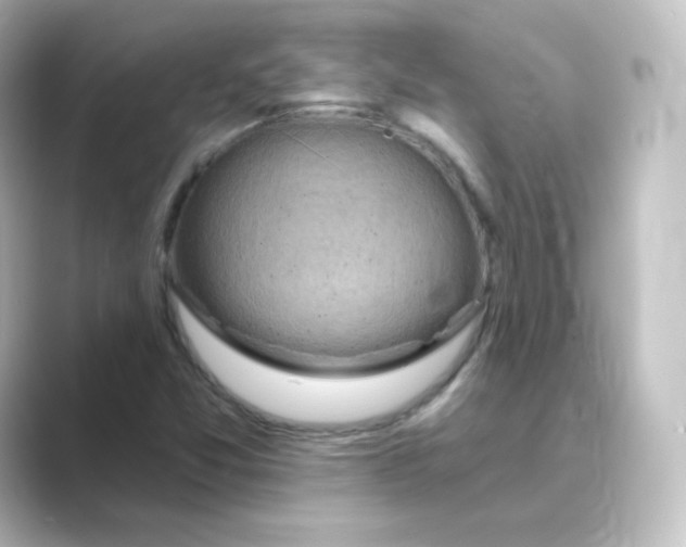 X0000088751357200706212107