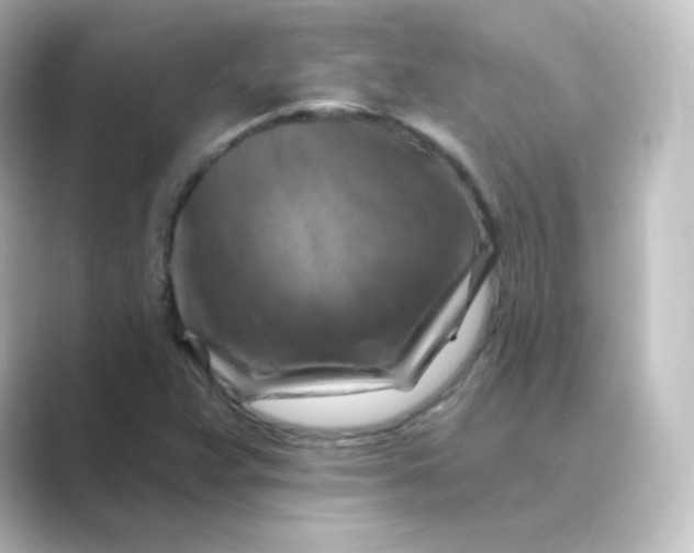 X0000088751359200706212107