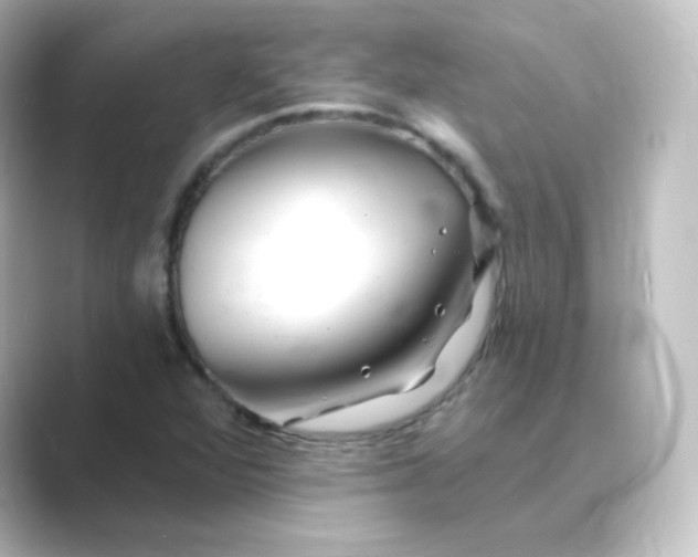 X0000088751360200706212107