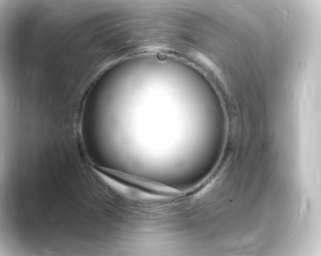 X0000088751361200706212107