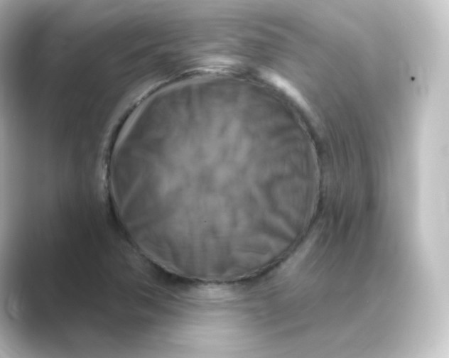 X0000088751362200706212107