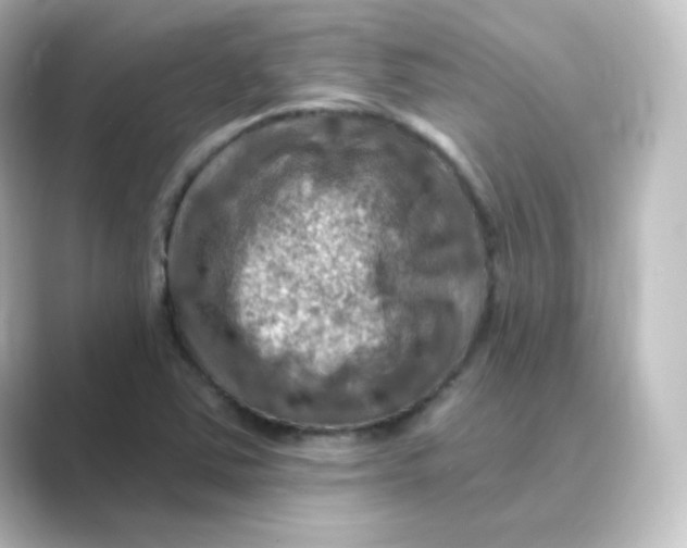 X0000088751363200706212107