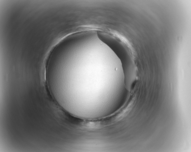 X0000088751365200706212107