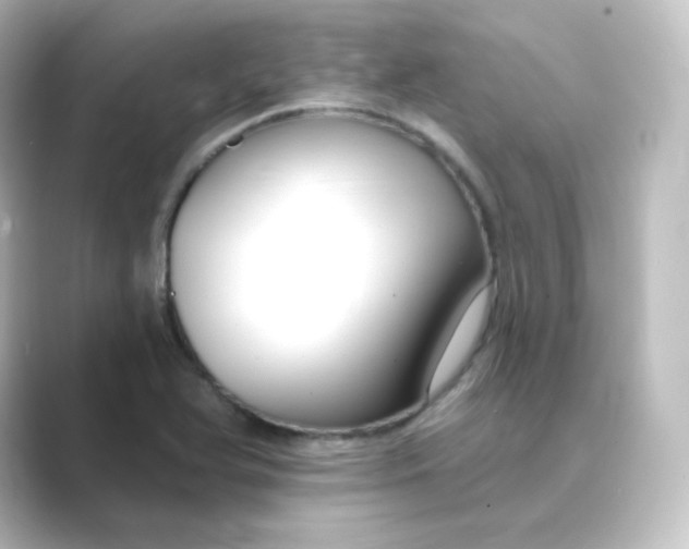 X0000088751366200706212107