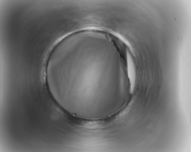 X0000088751367200706212107