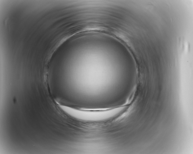 X0000088751369200706212107