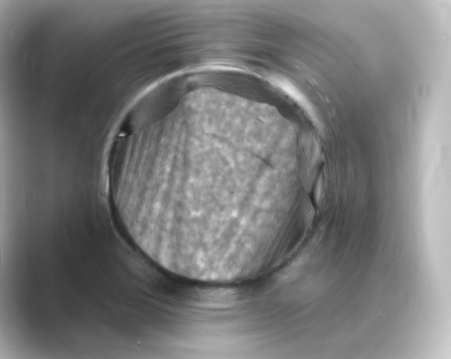 X0000088751372200706212107