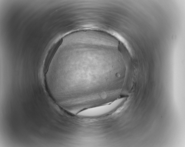 X0000088751373200706212107