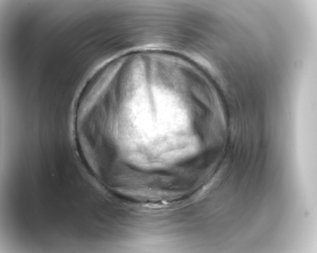 X0000088751374200706212107