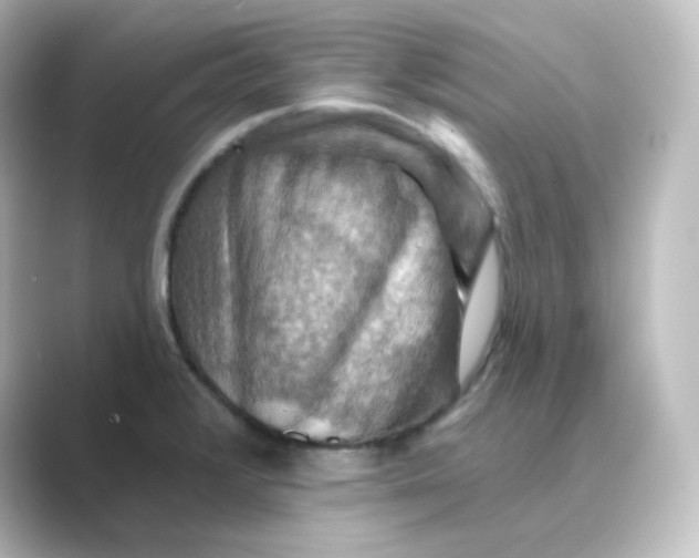 X0000088751376200706212107