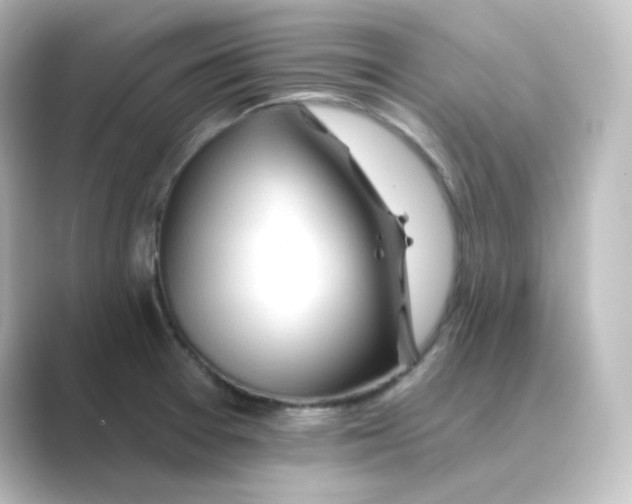 X0000088751377200706212107