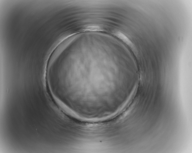 X0000088751378200706212107