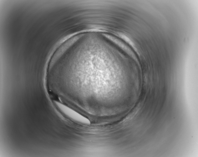 X0000088751379200706212107