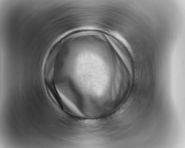 X0000088751380200706212107