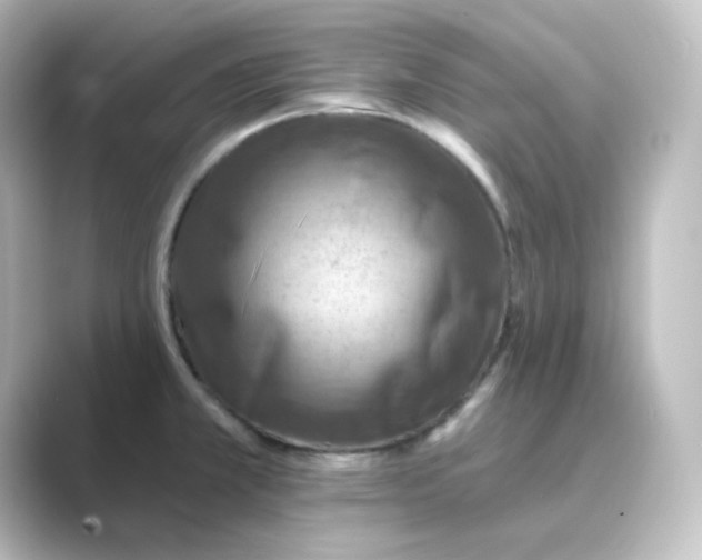 X0000088751381200706212107