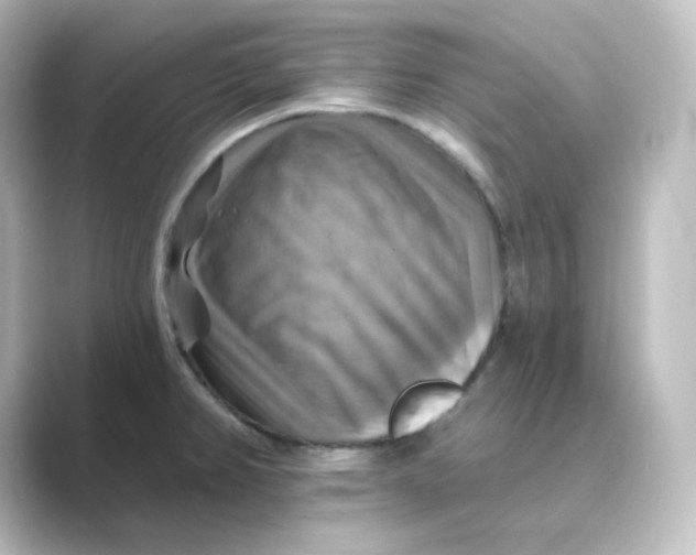 X0000088751382200706212107