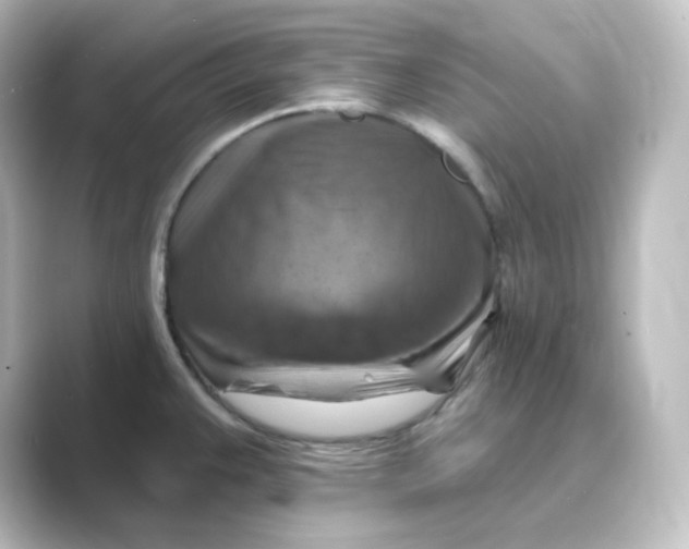 X0000088751383200706212107