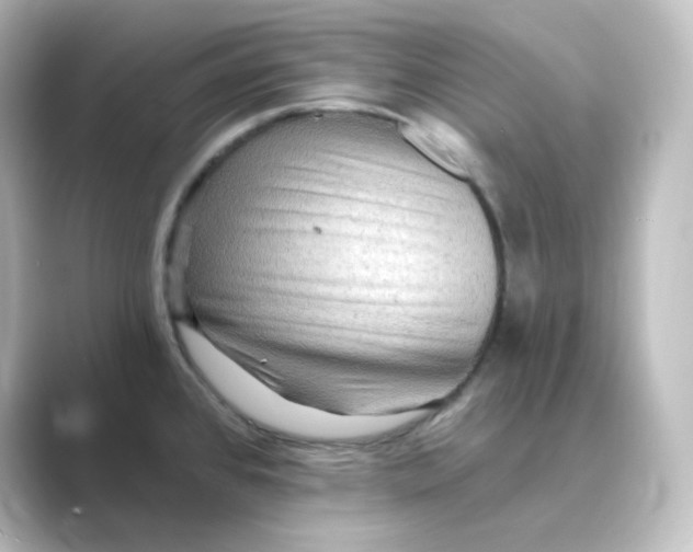 X0000088751384200706212107