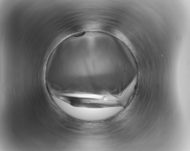 X0000088751386200706212107