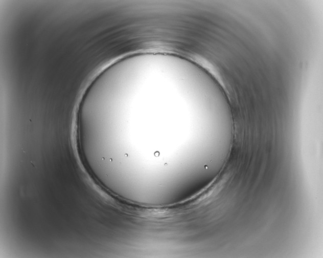 X0000088751387200706212107