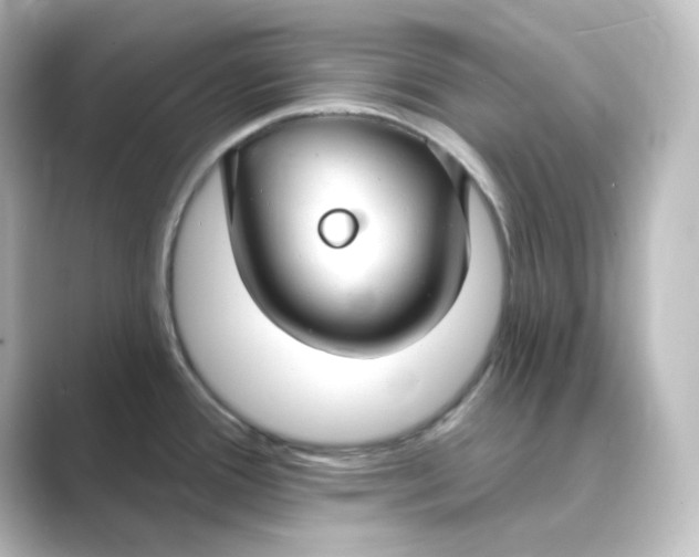 X0000088751388200706212107