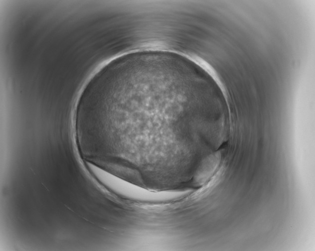 X0000088751389200706212107