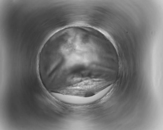 X0000088751390200706212107