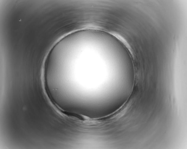 X0000088751391200706212107