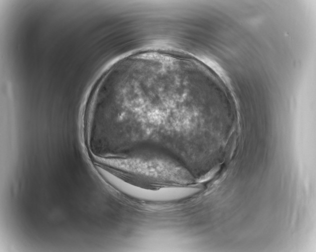 X0000088751392200706212107