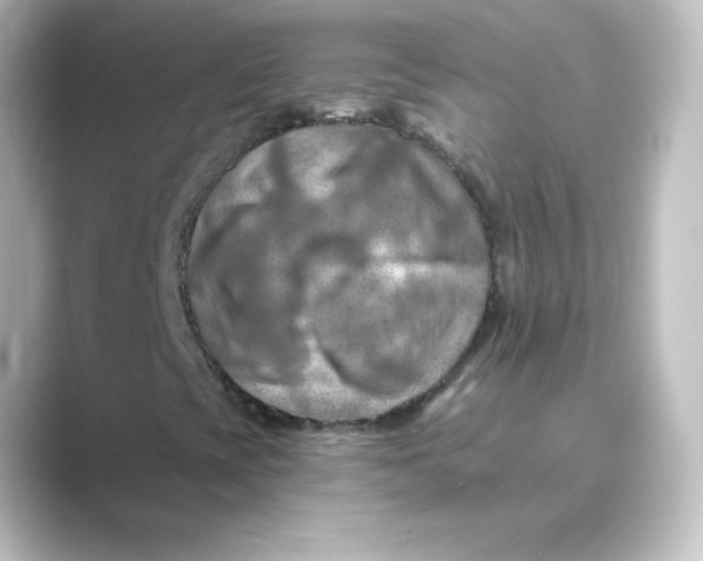 X0000088751393200706212106