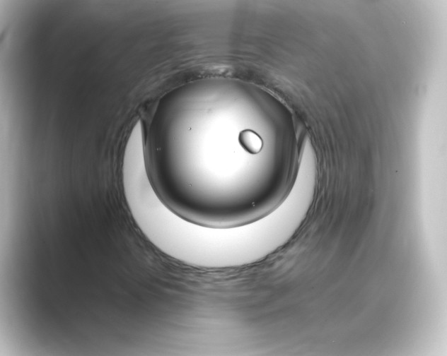 X0000088751394200706212106