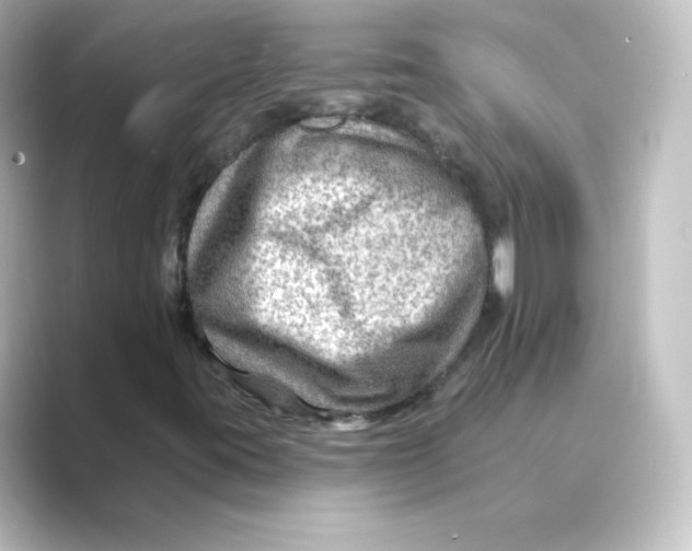 X0000088751395200706212106