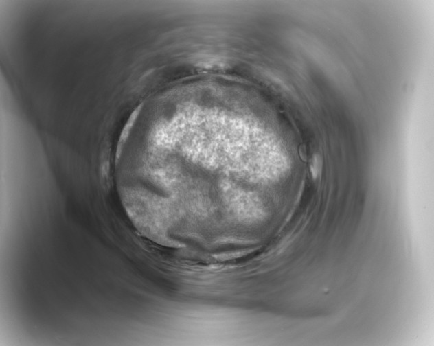 X0000088751396200706212106