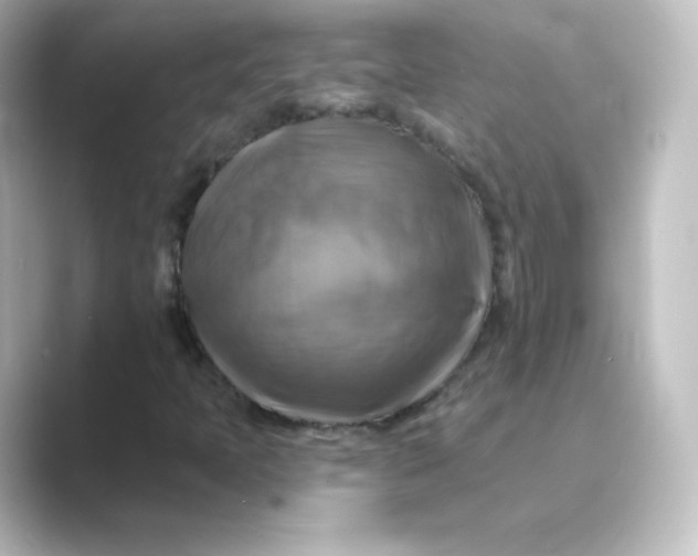 X0000088751397200706212106