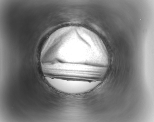 X0000088751400200706212106