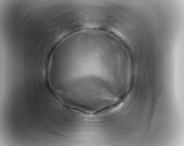 X0000088751401200706212106