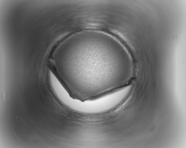 X0000088751402200706212106