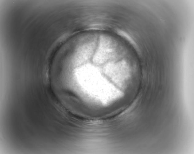 X0000088751403200706212106