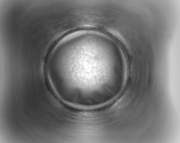 X0000088751404200706212106