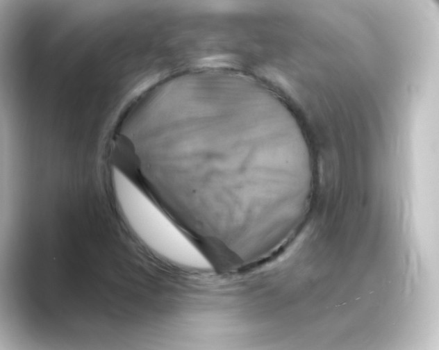 X0000088751405200706212106